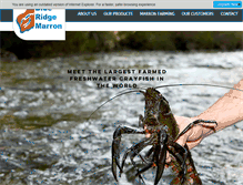 Tablet Screenshot of blueridgemarron.com